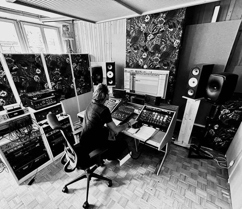 Markus Burri, P for Pepsine, Luzern, Alterna Recording Studio
